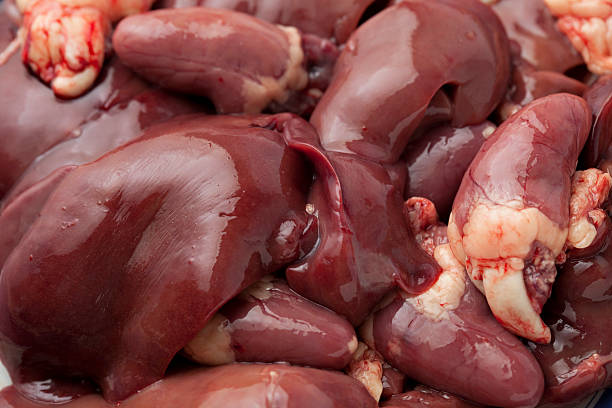 Raw chicken liver Raw chicken liver photographed close up animal liver stock pictures, royalty-free photos & images