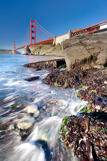 Golden Gate Bridge, San Francisco - Photo