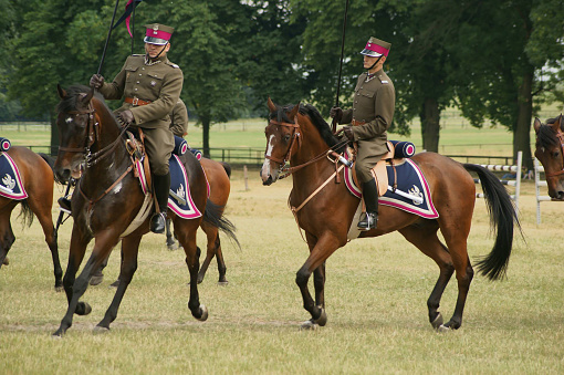 Soldiers in dress uniform marching in the parade