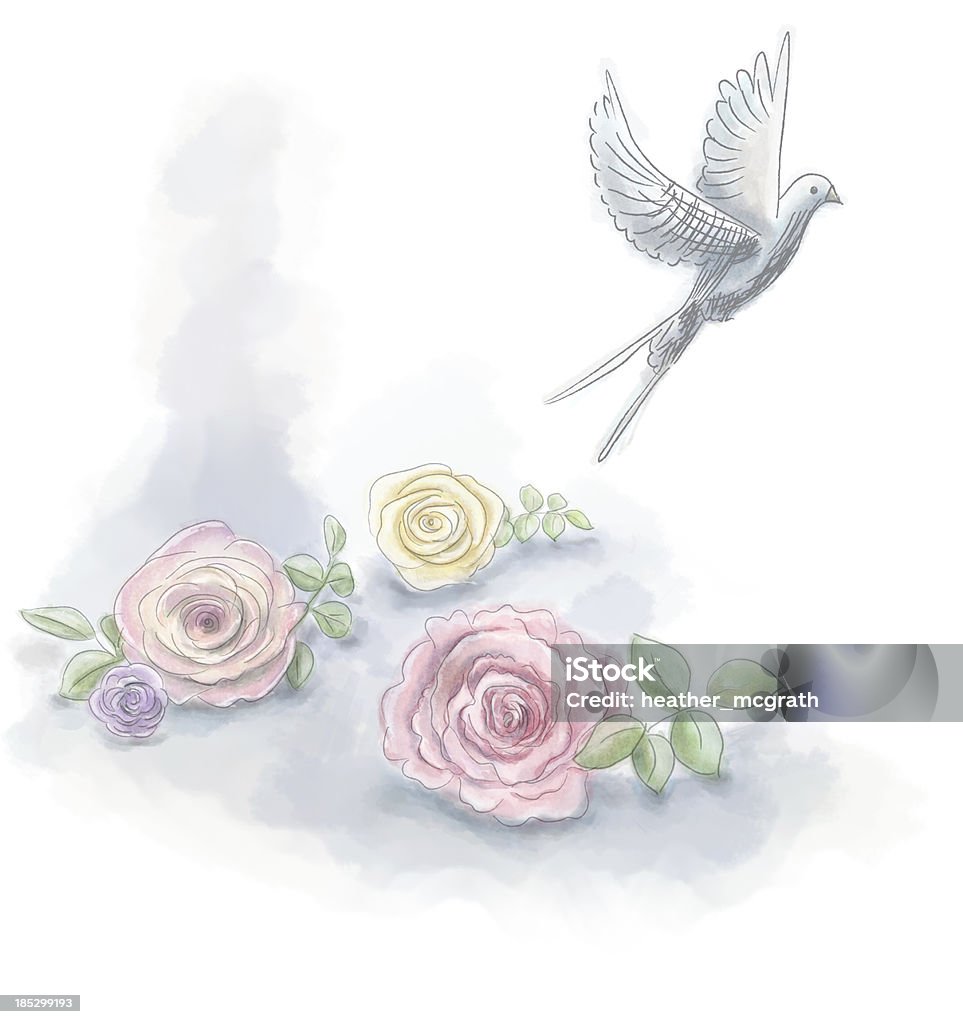 Acuarela de rosas con dove - Ilustración de stock de Boda libre de derechos
