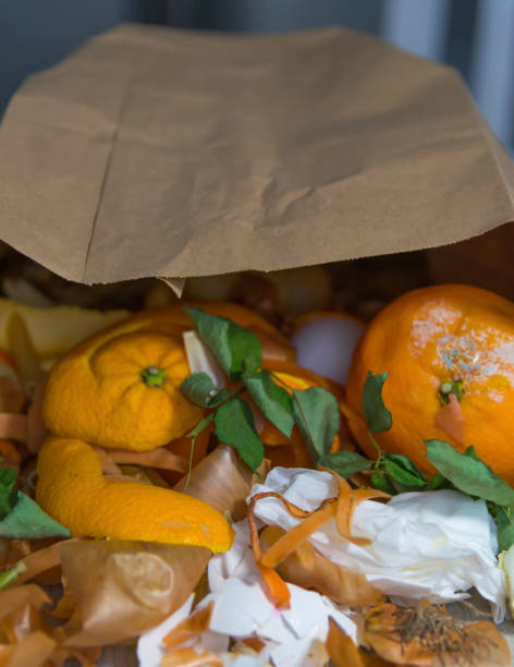 istock Food garbage in paper bag on the table. 1852993772