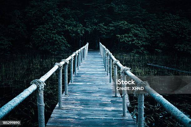 Paseo A Lo Largo De La Playa En El Bosque Oscuro De Madera Foto de stock y más banco de imágenes de Agua