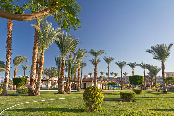 istock Hotel Park in tropical climate 185299952