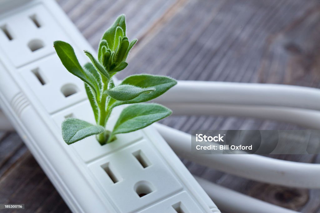 Grüne Energie - Lizenzfrei Blatt - Pflanzenbestandteile Stock-Foto