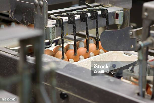 Uova Con Uova Fresche Factoryproduction Linea - Fotografie stock e altre immagini di Agricoltura - Agricoltura, Catena di montaggio, Cibi e bevande