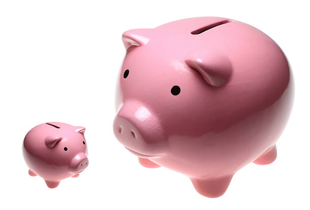 A row of pink piggybank money boxes on a plain white background 3D render