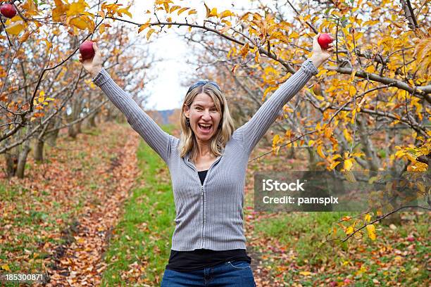 여자 사과나무 나무 35-39세에 대한 스톡 사진 및 기타 이미지 - 35-39세, 가을, 건강한 생활방식