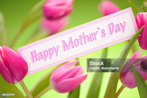 핑크 튤립 녹색 어머니 날 카드 포함 0명에 대한 스톡 사진 및 기타 이미지 - 0명, 꽃-식물, 꽃다발