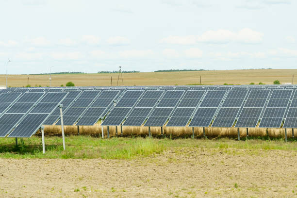 istock Solar panels on the field in summer, side view 1853012207