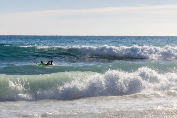 Surfer paddles waves on sunny day