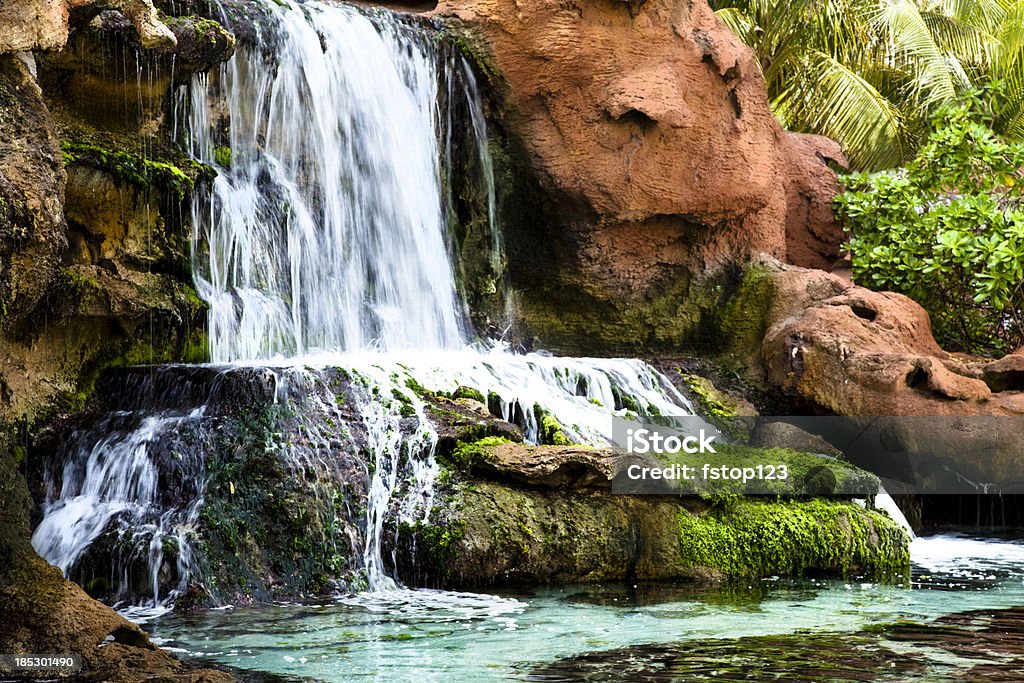 Tropical pool, piscina com cascata de pedras. - Foto de stock de Ajardinado royalty-free