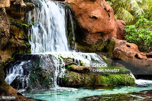 Foto de Tropical Pool Piscina Com Cascata De Pedras e mais fotos de stock de Ajardinado - Ajardinado, Azul, Azul Turquesa