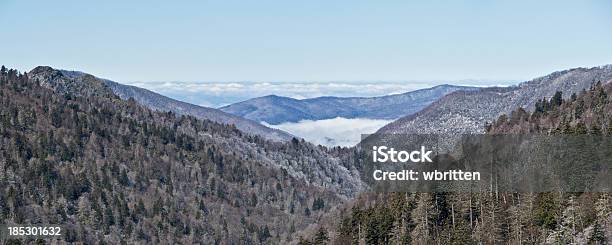 Smoky Mountains Winter Panorama Stockfoto und mehr Bilder von Appalachen-Region - Appalachen-Region, Baum, Berg