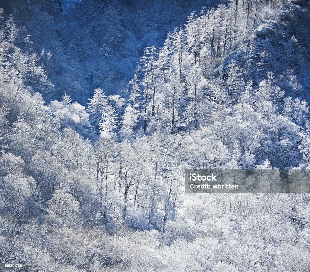 Montagna di inverno con alberi e neve - Foto stock royalty-free di Parco Nazionale Great Smoky Mountains