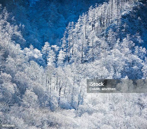 Montagna Di Inverno Con Alberi E Neve - Fotografie stock e altre immagini di Parco Nazionale Great Smoky Mountains - Parco Nazionale Great Smoky Mountains, Inverno, Gatlinburg