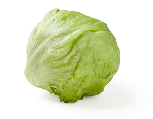Ice-berg Lettuce stock photo