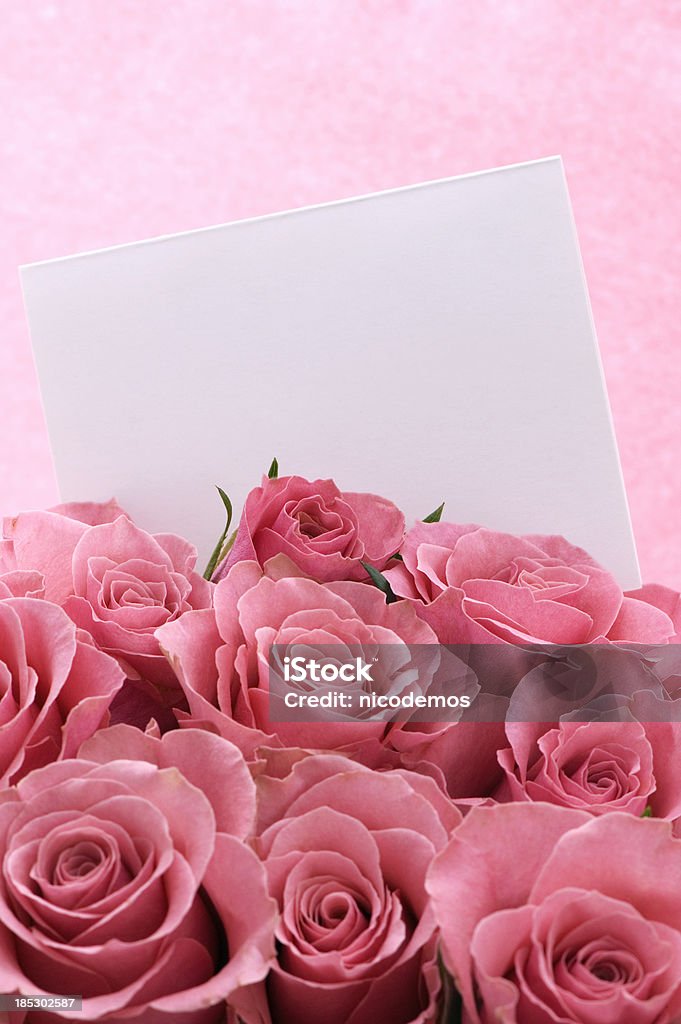 Bouquet of Pink Roses con tarjeta blanca - Foto de stock de Buqué libre de derechos
