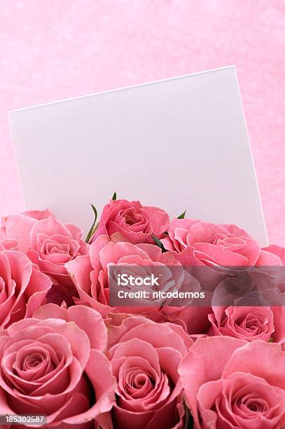 Bouquet Of Pink Roses Con Tarjeta Blanca Foto de stock y más banco de imágenes de Buqué - Buqué, Celebración - Acontecimiento, Color - Tipo de imagen