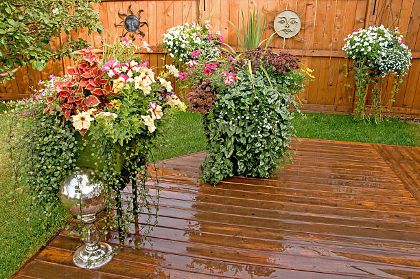 Colorful pots of flowers and hanging baskets in a backyard garden.