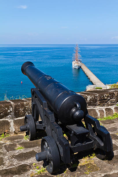 istock Cannon pointing out to sea, Grenada 185302741