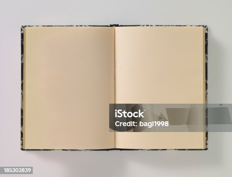 istock Open book empty pages 185302839