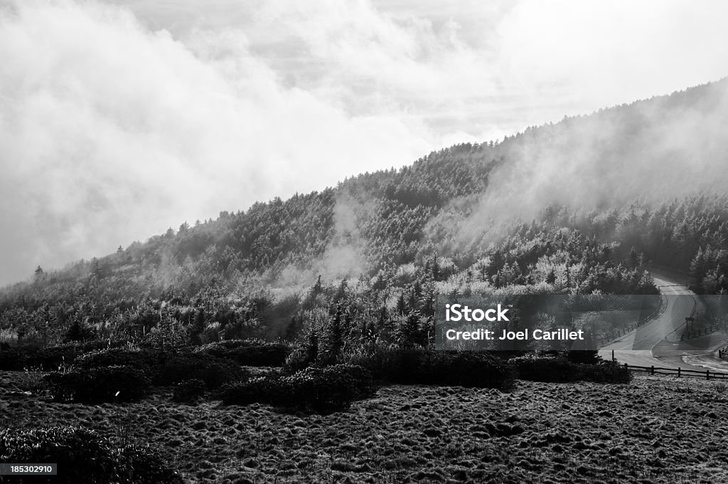 Wiejska droga w mglisty góry-Carver's Gap, Roan Mountain - Zbiór zdjęć royalty-free (Appalachy)