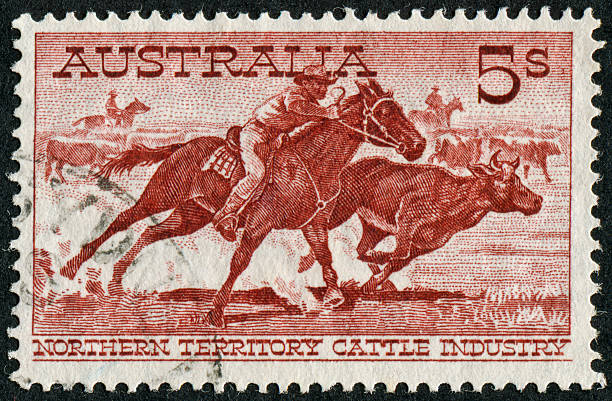 istock Australian Cattle Industry Stamp 185303100