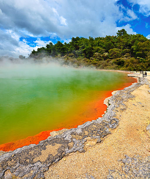 champán piscina, rotorua, nueva zelanda - crater rim fotografías e imágenes de stock