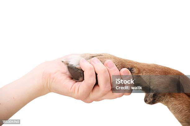 Zeichen Der Freundschaft Stockfoto und mehr Bilder von Hund - Hund, Menschliche Hand, Weißer Hintergrund