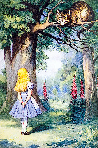 alice in wonderland-fictional character 왜고너의 adventures - 동화 일러스트 stock illustrations