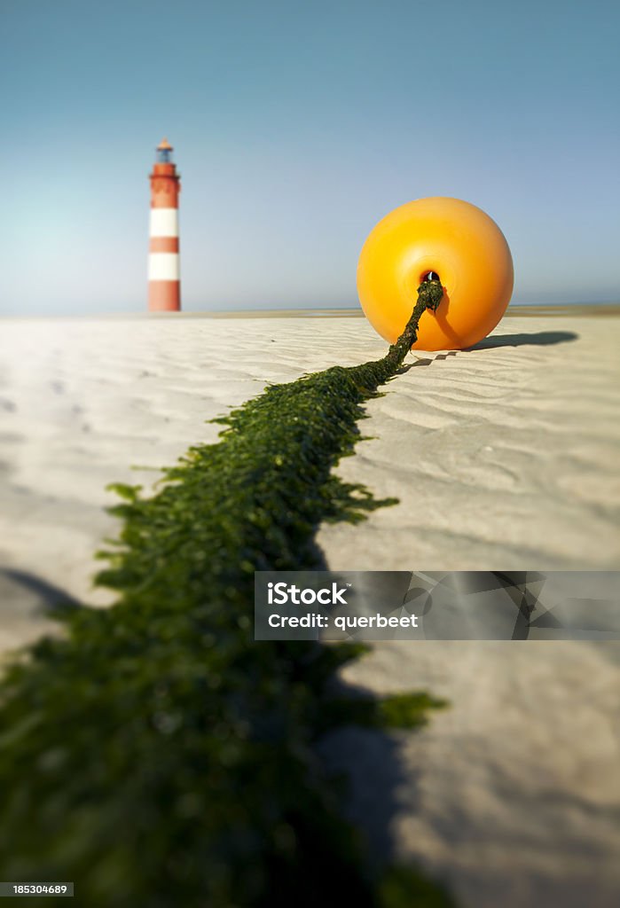 Orange Boje/Montage - Lizenzfrei Alge Stock-Foto