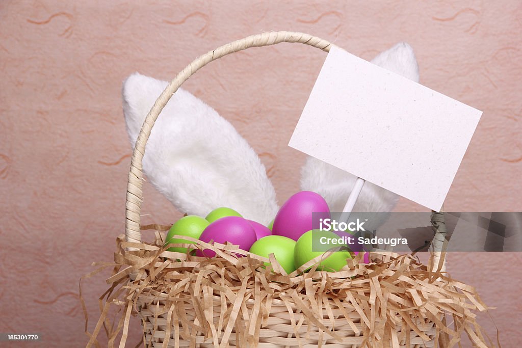 Пасха - Стоковые фото Кролик - животное роялти-фри