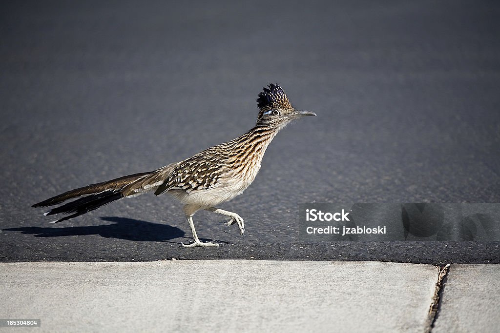 Corridore della strada - Foto stock royalty-free di Allerta