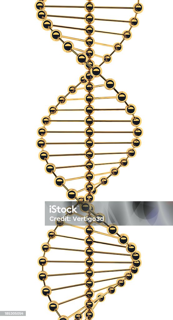 Gold molecule DNA Gold molecule  DNA model isolated on white DNA Stock Photo