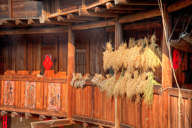 The Fujian Tulou (or Earth Houses) are traditional housing in Hakka Villages in Fujian Province of China.