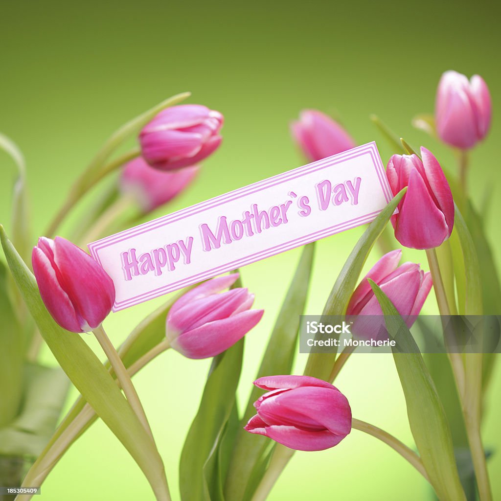 Tulipas cor de rosa em verde com cartão de Dia das Mães - Foto de stock de Bouquet royalty-free