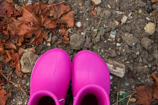 Pink rubber boots in the field with autumn leaves. Country style.