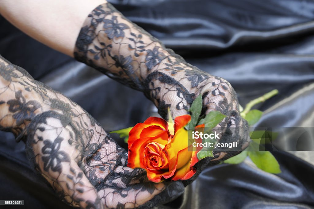 Lace gloves with rose on black satin **small amount of motion blur on upper hand** Woman's hands in lace gloves holding long-stemmed rose on black satin sheets.More like this Beauty Stock Photo