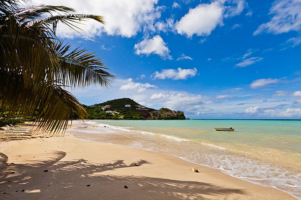 Morne Rouge Beach, Grenada W.I. Morne Rouge Beach, a quiet bay located on the southwestern coast of Grenada. Canon EOS 5D Mark II headland photos stock pictures, royalty-free photos & images