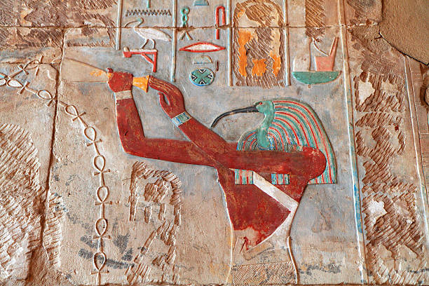 Painted Relief, Great Temple of Amun, Karnak, Egypt "A painted bas relief of the ibis-headed god Thoth from the area known as Hatshepsutaas Wall in the Great Temple of Amun, Karnak, Egypt.  Thoth pours the ankh, symbol of life, over the 15th century BC queen Hatshepsut (also Maatkare), the only woman ever to rule as pharaoh.  The figure as Hatshepsut was defaced as part of efforts by her stepson and successor Tuthmosis III (or Thutmose III or Menkheperre) to remove symbols of her reign.  Covering an area of 100 hectares, Karnak is the largest temple complex ever built." hatshepsut photos stock pictures, royalty-free photos & images