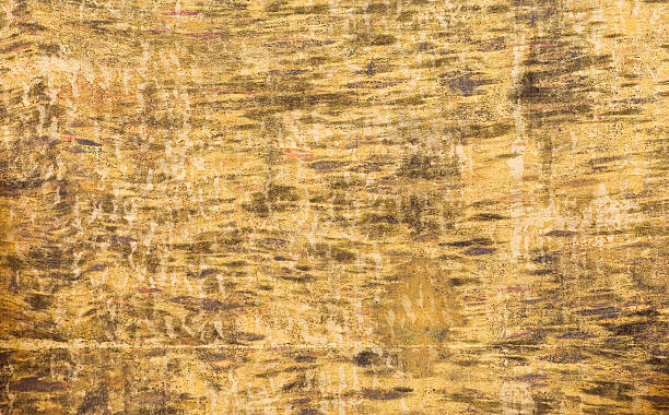 istock Natural, mottled, wood bark background 185307085