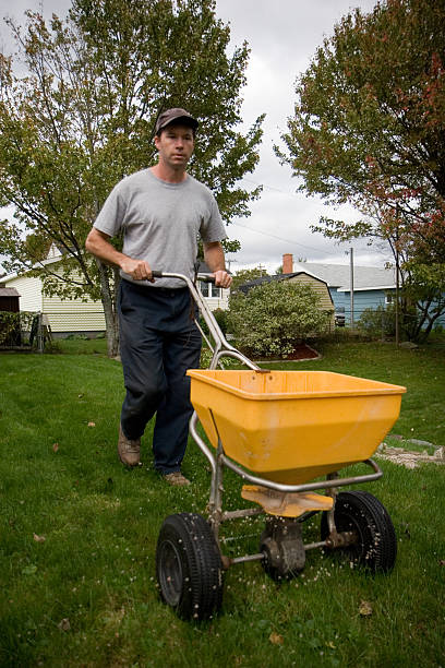 istock A landscaper pushing a fertilizer spreader around his lawn 185307261