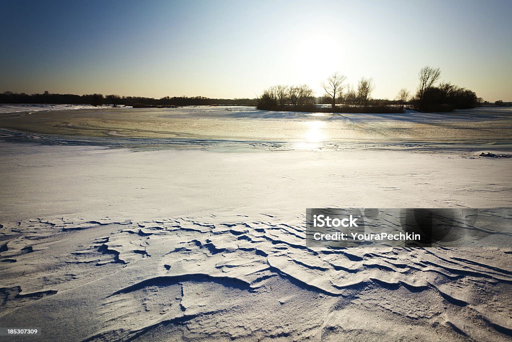 Beauté hivernale - Photo de Beauté de la nature libre de droits