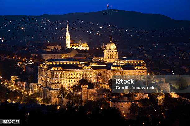 Castelo De Budabudapeste - Fotografias de stock e mais imagens de Antigo - Antigo, Arquitetura, Barroco