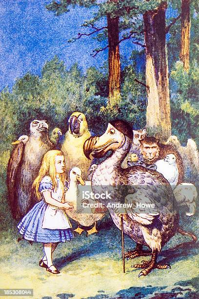 Alice S Aventures À Wonderland Vecteurs libres de droits et plus d'images vectorielles de Alice au pays des merveilles - Alice au pays des merveilles, D'autrefois, Dodo - Oiseau