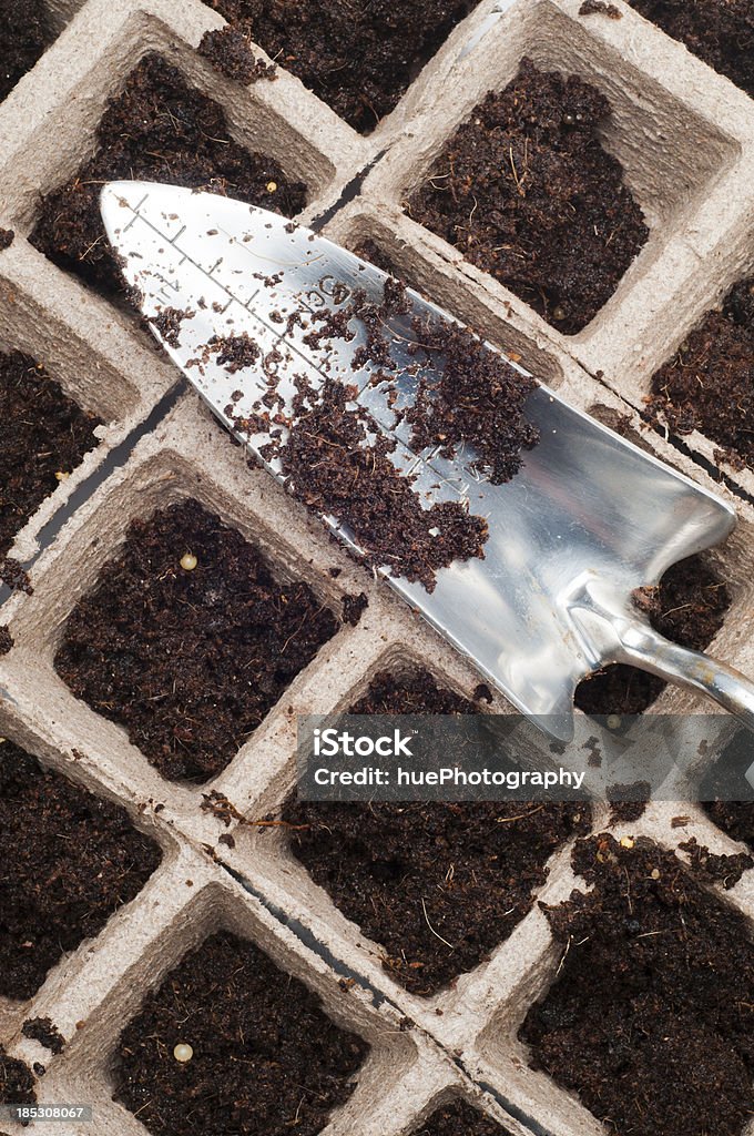 Plantación de resorte - Foto de stock de Agricultura libre de derechos