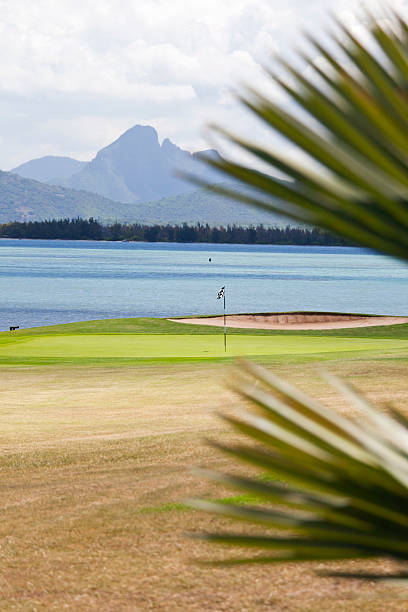 golf w mauritius - palm people white brown zdjęcia i obrazy z banku zdjęć