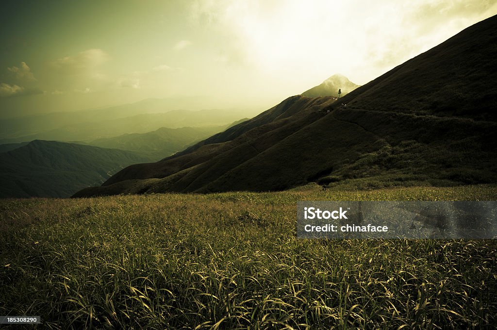 Lever du soleil - Photo de Arbre libre de droits