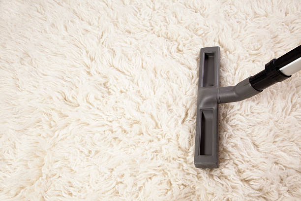 Vacuum cleaner nozzle on shag carpet Vacuum cleaner nozzle on shag carpet.  Great copy space. shag rug stock pictures, royalty-free photos & images