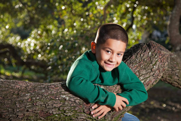 hispânica menino brincando em uma árvore no parque - sc0526 - fotografias e filmes do acervo